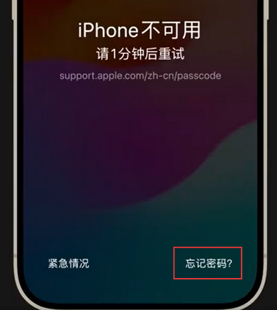 林口苹果手机密码维修分享iPhone忘记了刚设置的密码 