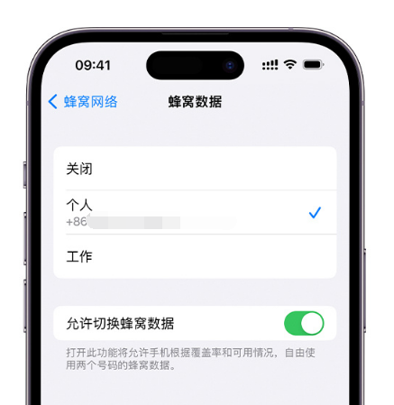 林口苹果维修服务分享如何在iPhone上使用双卡 