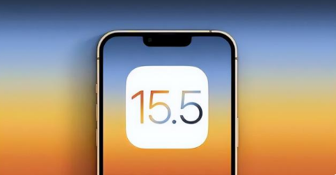 林口苹果手机维修分享iOS15.5 RC版升级建议 